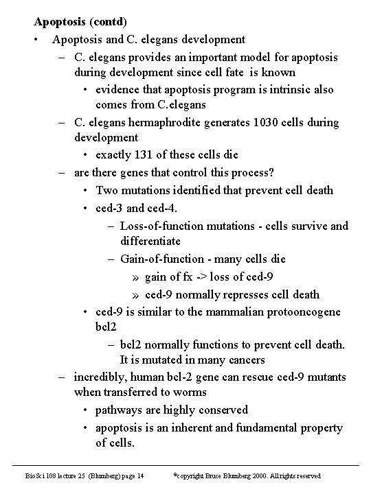 Apoptosis (contd) • Apoptosis and C. elegans development – C. elegans provides an important