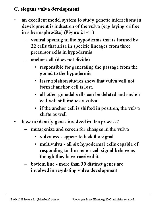 C. elegans vulva development • • an excellent model system to study genetic interactions