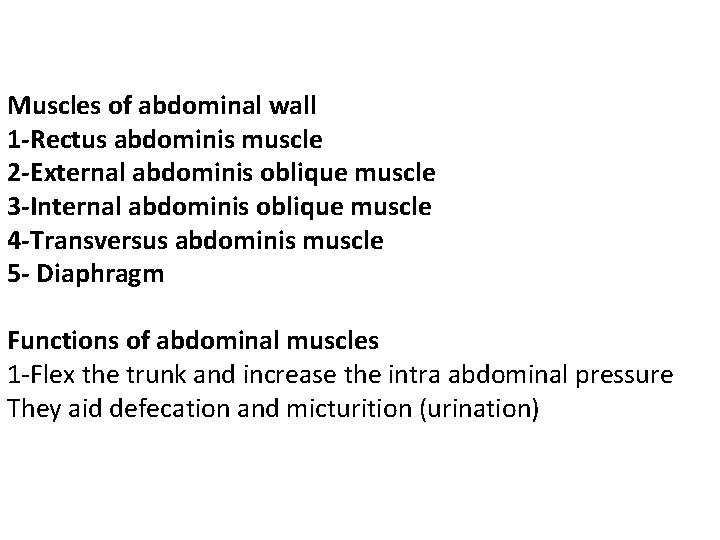 Muscles of abdominal wall 1 -Rectus abdominis muscle 2 -External abdominis oblique muscle 3