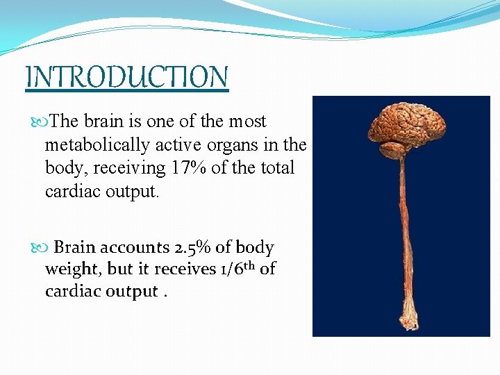 INTRODUCTION The brain is one of the most metabolically active organs in the body,