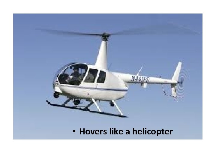  • Hovers like a helicopter 