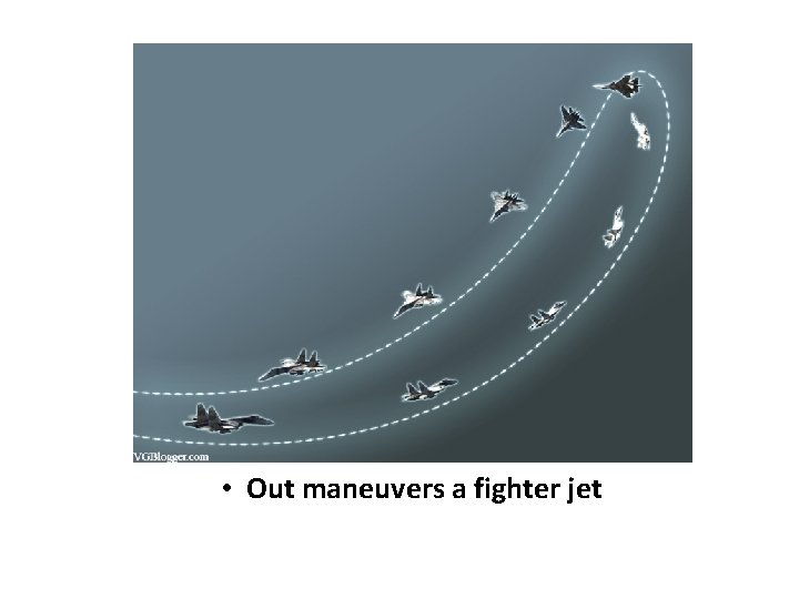  • Out maneuvers a fighter jet 