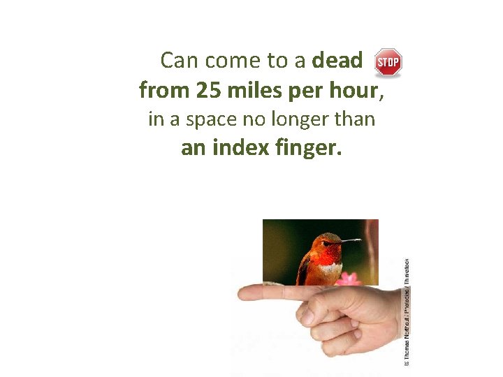 Can come to a dead from 25 miles per hour, in a space no