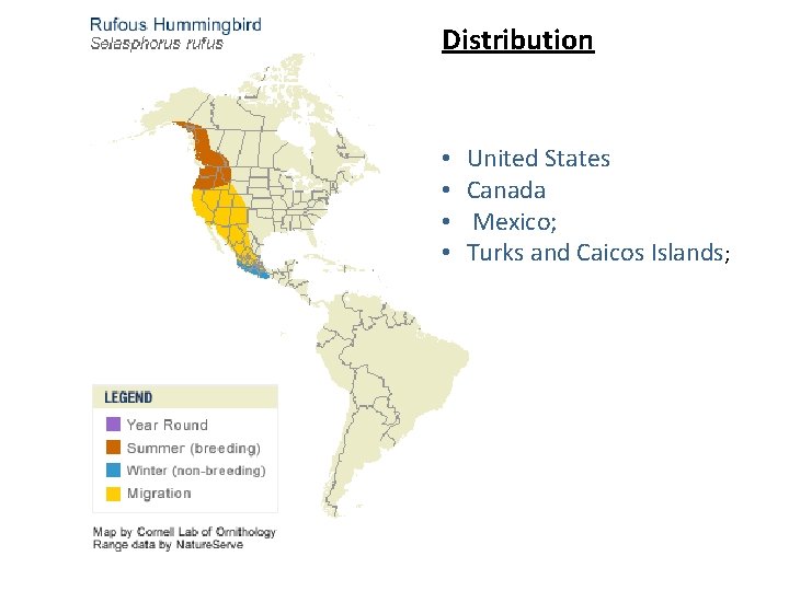 Distribution • • United States Canada Mexico; Turks and Caicos Islands; 