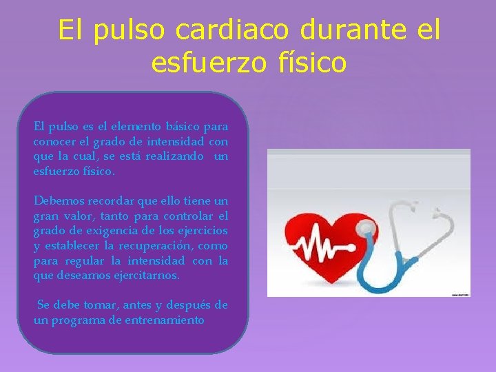 El pulso cardiaco durante el esfuerzo físico El pulso es el elemento básico para