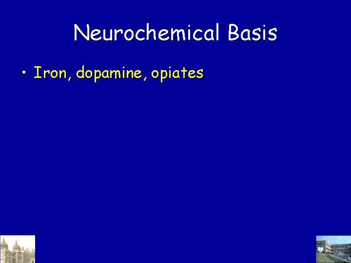 Neurochemical Basis • Iron, dopamine, opiates 