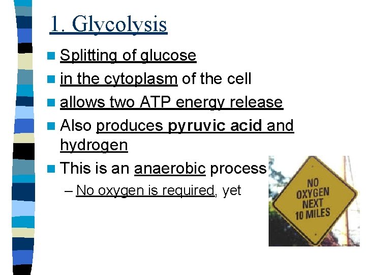 1. Glycolysis n Splitting of glucose n in the cytoplasm of the cell n