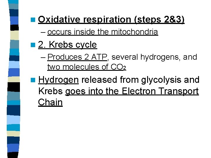 n Oxidative respiration (steps 2&3) – occurs inside the mitochondria n 2. Krebs cycle