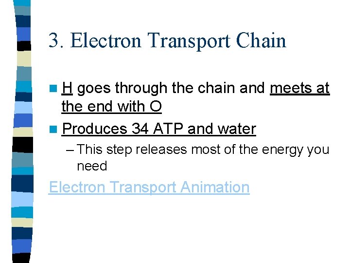 3. Electron Transport Chain n. H goes through the chain and meets at the