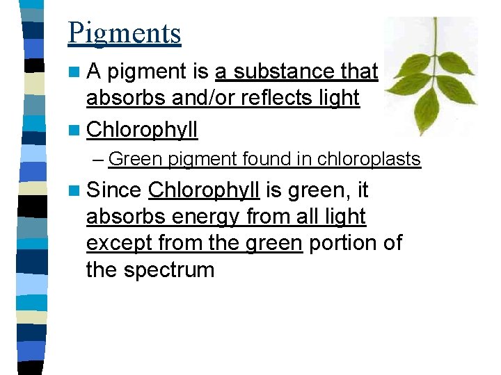 Pigments n. A pigment is a substance that absorbs and/or reflects light n Chlorophyll