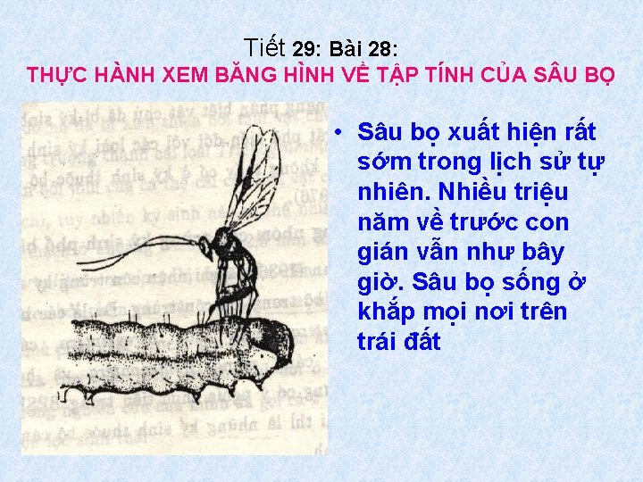 Tiết 29: Bài 28: THỰC HÀNH XEM BĂNG HÌNH VỀ TẬP TÍNH CỦA S