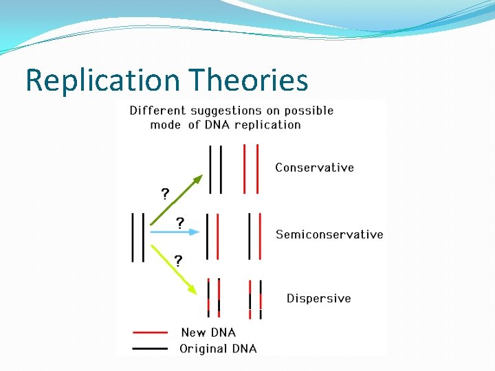 Replication Theories 