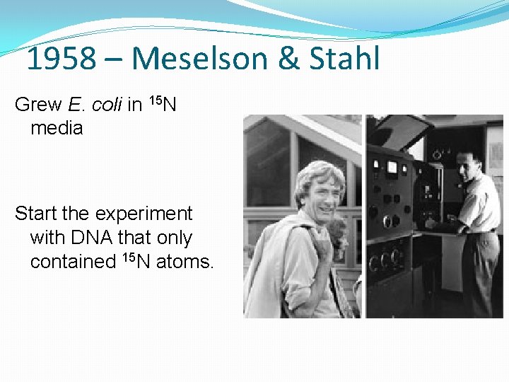 1958 – Meselson & Stahl Grew E. coli in 15 N media Start the