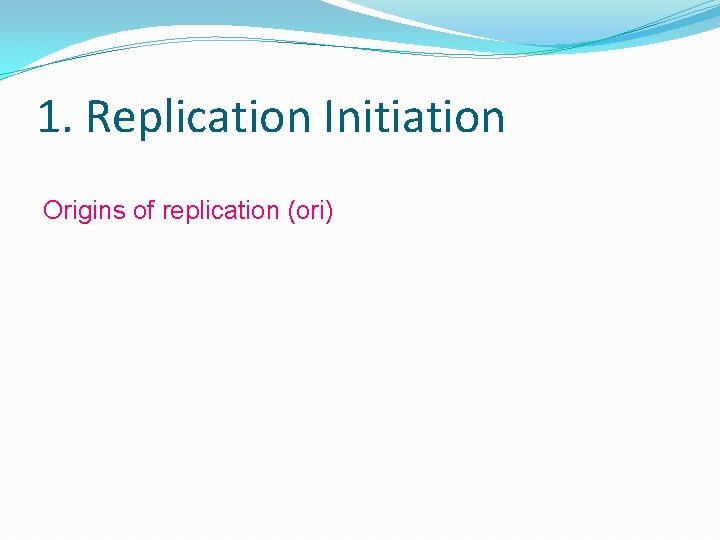1. Replication Initiation Origins of replication (ori) 