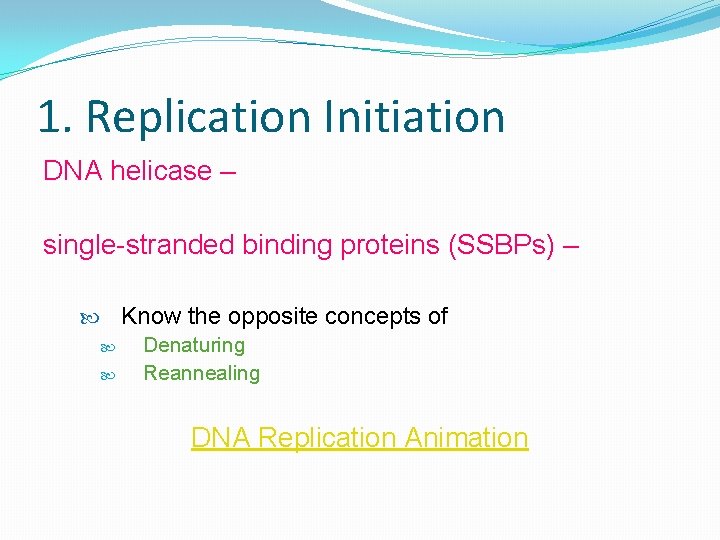 1. Replication Initiation DNA helicase – single-stranded binding proteins (SSBPs) – Know the opposite