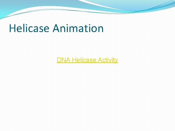 Helicase Animation DNA Helicase Activity 
