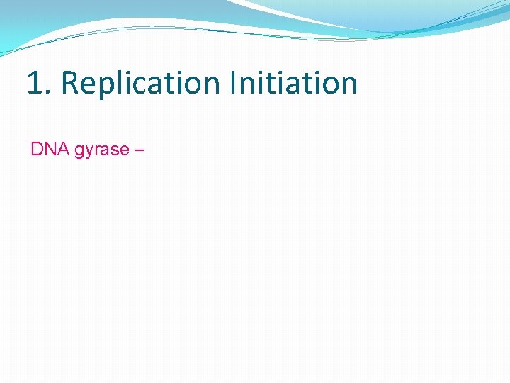 1. Replication Initiation DNA gyrase – 