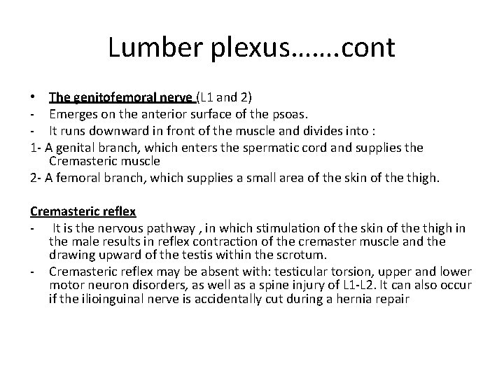 Lumber plexus……. cont • The genitofemoral nerve (L 1 and 2) - Emerges on