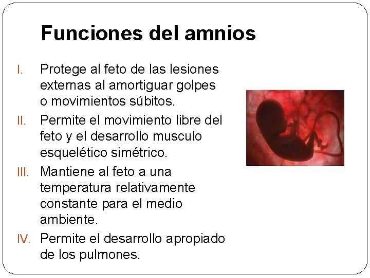 Funciones del amnios Protege al feto de las lesiones externas al amortiguar golpes o