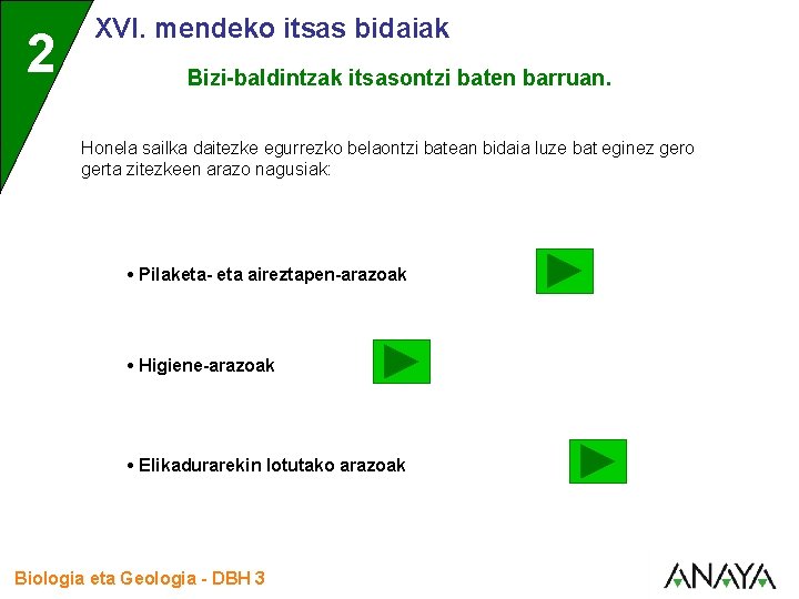 2 XVI. mendeko itsas bidaiak Bizi-baldintzak itsasontzi baten barruan. Honela sailka daitezke egurrezko belaontzi