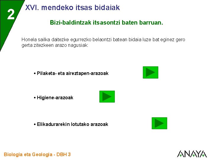 2 XVI. mendeko itsas bidaiak Bizi-baldintzak itsasontzi baten barruan. Honela sailka daitezke egurrezko belaontzi