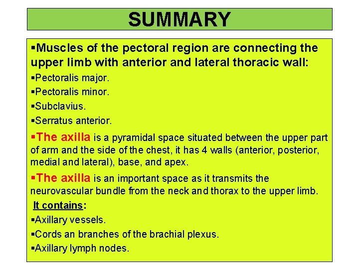 SUMMARY §Muscles of the pectoral region are connecting the upper limb with anterior and