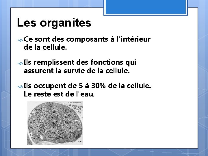 Les organites Ce sont des composants à l'intérieur de la cellule. Ils remplissent des