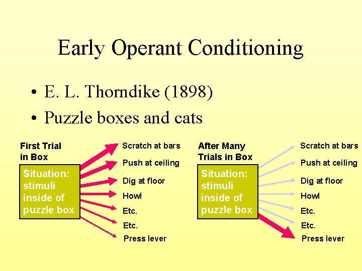 Early Operant Conditioning • E. L. Thorndike (1898) • Puzzle boxes and cats First