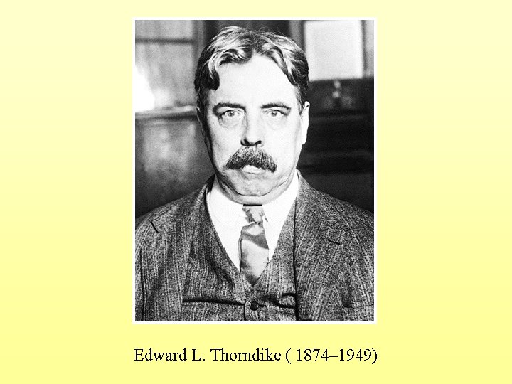 Edward L. Thorndike ( 1874– 1949) 