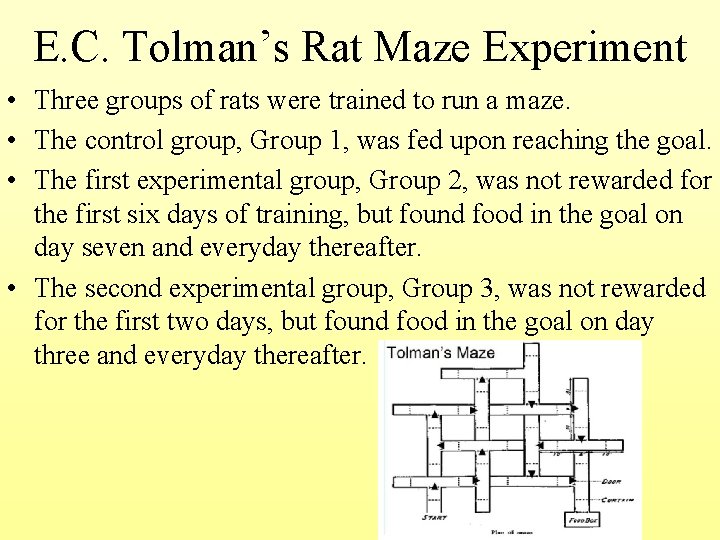E. C. Tolman’s Rat Maze Experiment • Three groups of rats were trained to