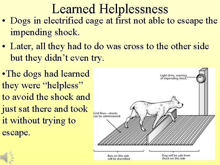 Learned Helplessness • Dogs in electrified cage at first not able to escape the