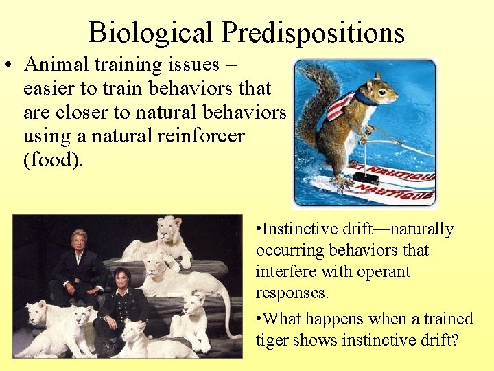 Biological Predispositions • Animal training issues – easier to train behaviors that are closer
