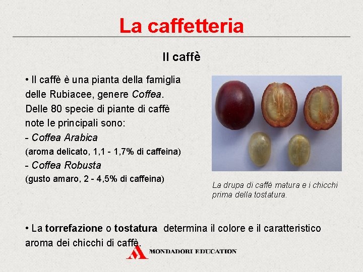 La caffetteria Il caffè • Il caffè è una pianta della famiglia delle Rubiacee,