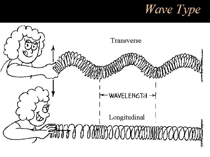 Wave Type Transverse Longitudinal 