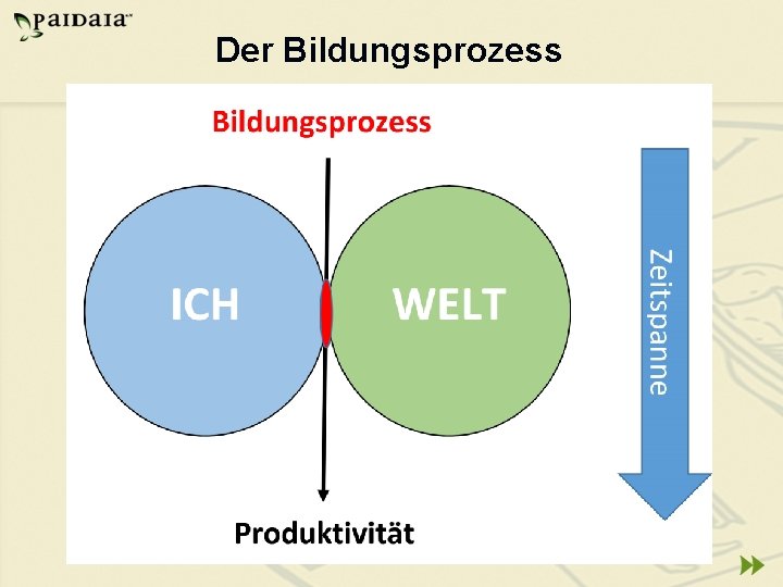 Der Bildungsprozess 