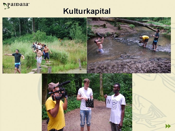 Kulturkapital 