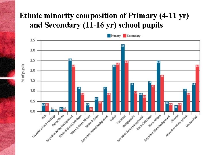 Ethnic minority composition of Primary (4 -11 yr) and Secondary (11 -16 yr) school