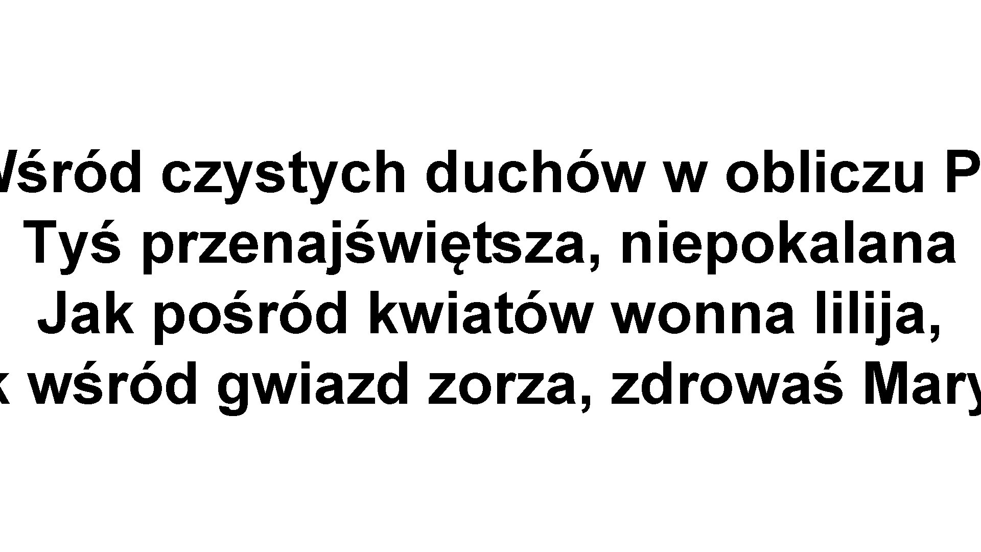 Wśród czystych duchów w obliczu P Tyś przenajświętsza, niepokalana Jak pośród kwiatów wonna lilija,