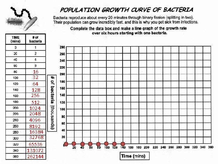 16 32 64 128 256 512 1024 2048 4096 8192 16384 32768 65536 131072