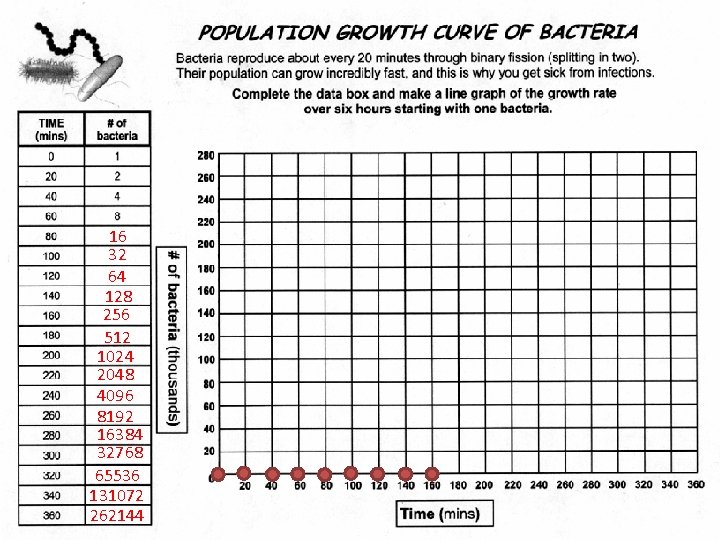 16 32 64 128 256 512 1024 2048 4096 8192 16384 32768 65536 131072