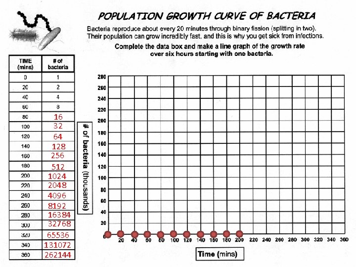 16 32 64 128 256 512 1024 2048 4096 8192 16384 32768 65536 131072