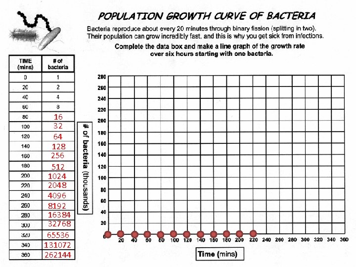 16 32 64 128 256 512 1024 2048 4096 8192 16384 32768 65536 131072