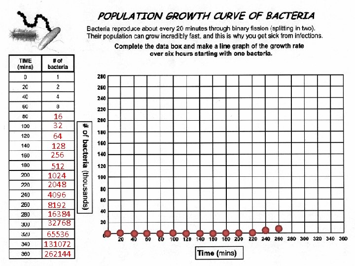 16 32 64 128 256 512 1024 2048 4096 8192 16384 32768 65536 131072