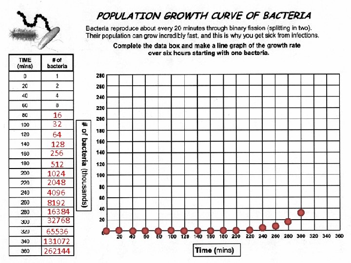 16 32 64 128 256 512 1024 2048 4096 8192 16384 32768 65536 131072