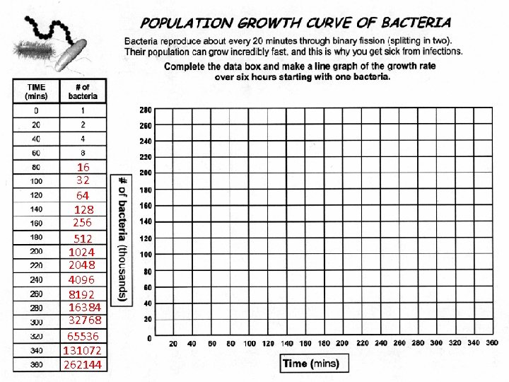 16 32 64 128 256 512 1024 2048 4096 8192 16384 32768 65536 131072