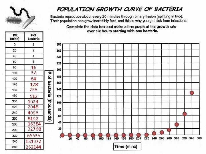 16 32 64 128 256 512 1024 2048 4096 8192 16384 32768 65536 131072