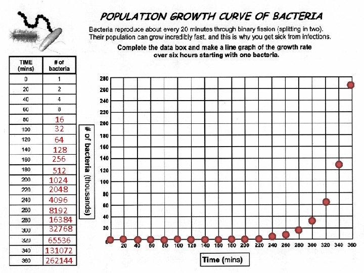 16 32 64 128 256 512 1024 2048 4096 8192 16384 32768 65536 131072