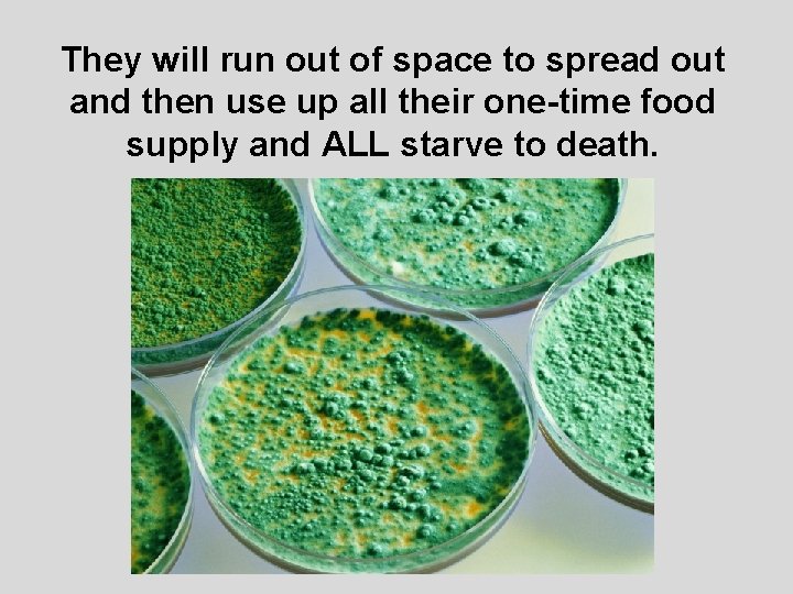 They will run out of space to spread out and then use up all