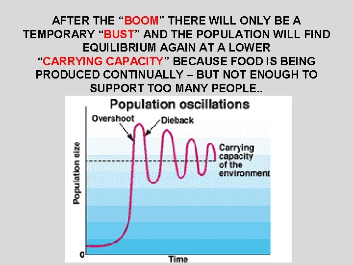 AFTER THE “BOOM” THERE WILL ONLY BE A TEMPORARY “BUST” AND THE POPULATION WILL