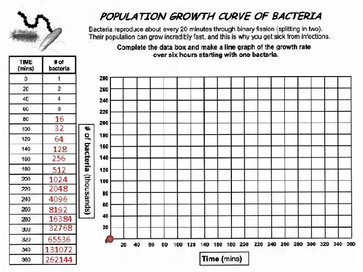 16 32 64 128 256 512 1024 2048 4096 8192 16384 32768 65536 131072